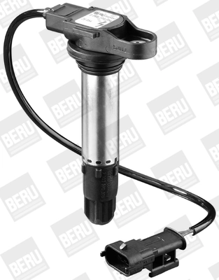 BorgWarner (BERU) ZS054