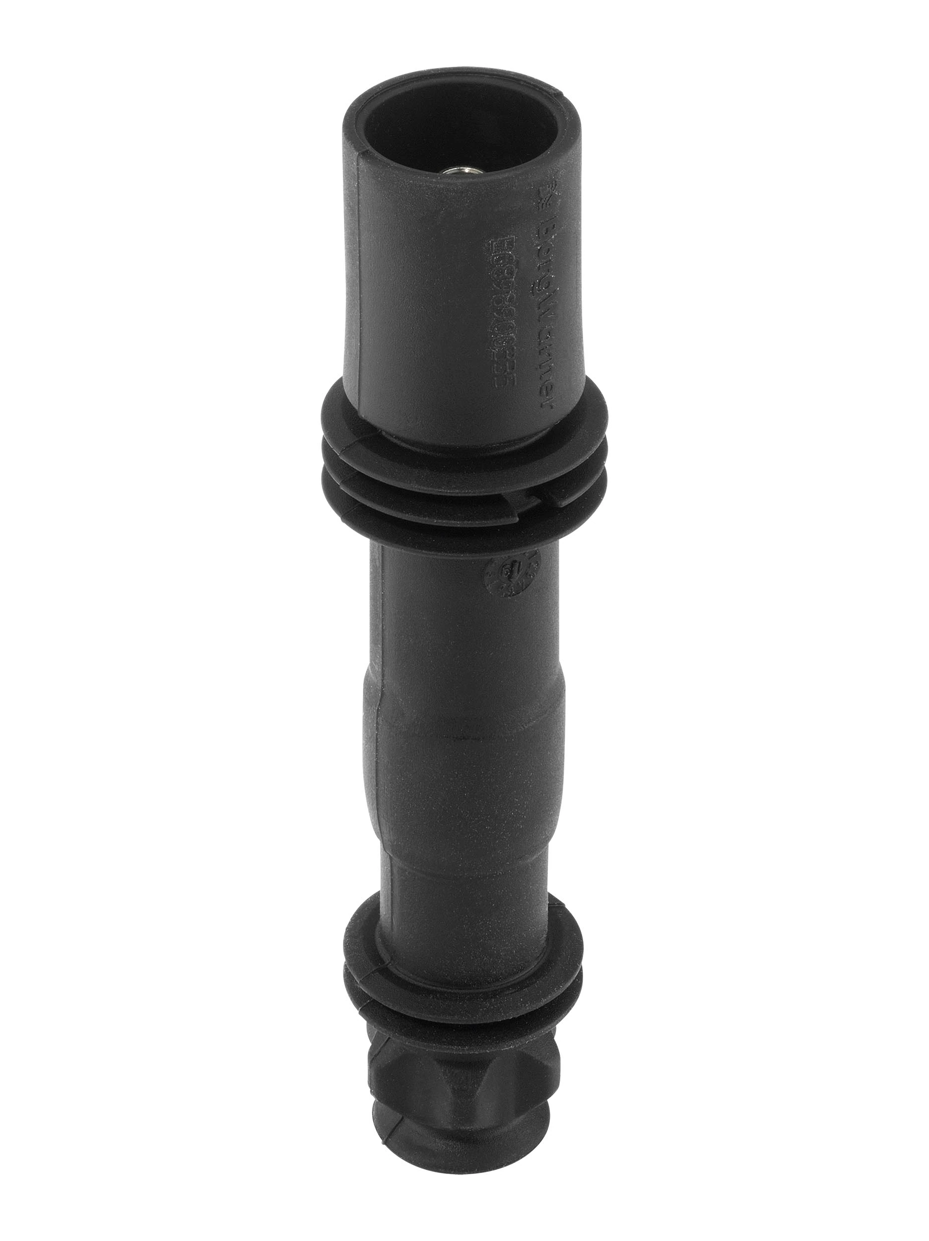 BorgWarner (BERU) ZLE255
