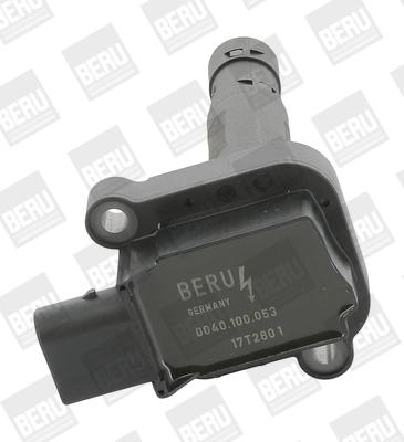 BorgWarner (BERU) ZS053