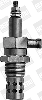 BorgWarner (BERU) GF699