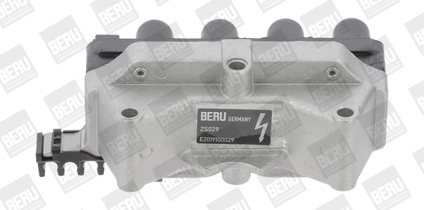 BorgWarner (BERU) ZS029