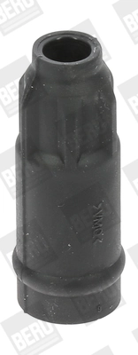 BorgWarner (BERU) GS29
