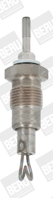 BorgWarner (BERU) GD318
