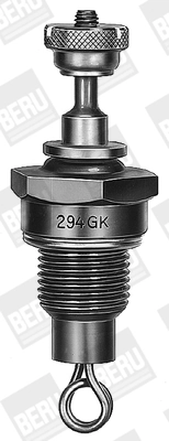 BorgWarner (BERU) GD294