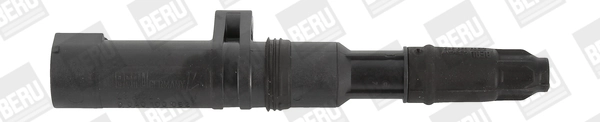 BorgWarner (BERU) ZS052