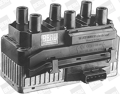 BorgWarner (BERU) ZS007