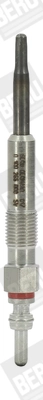 BorgWarner (BERU) GE100