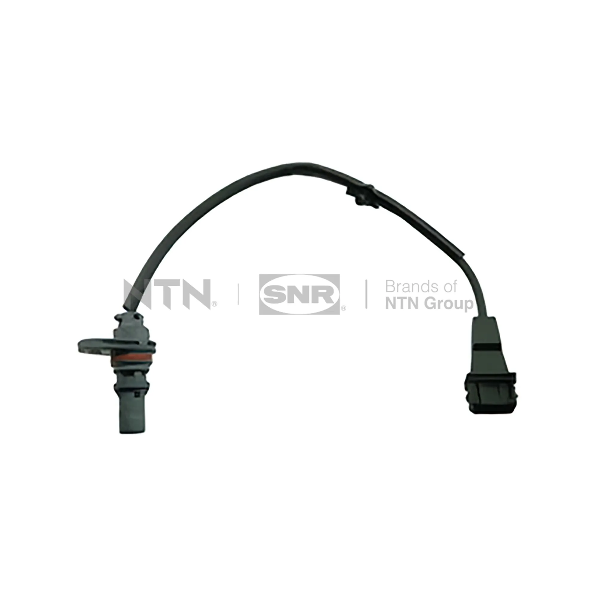 SNR CKP184.07
