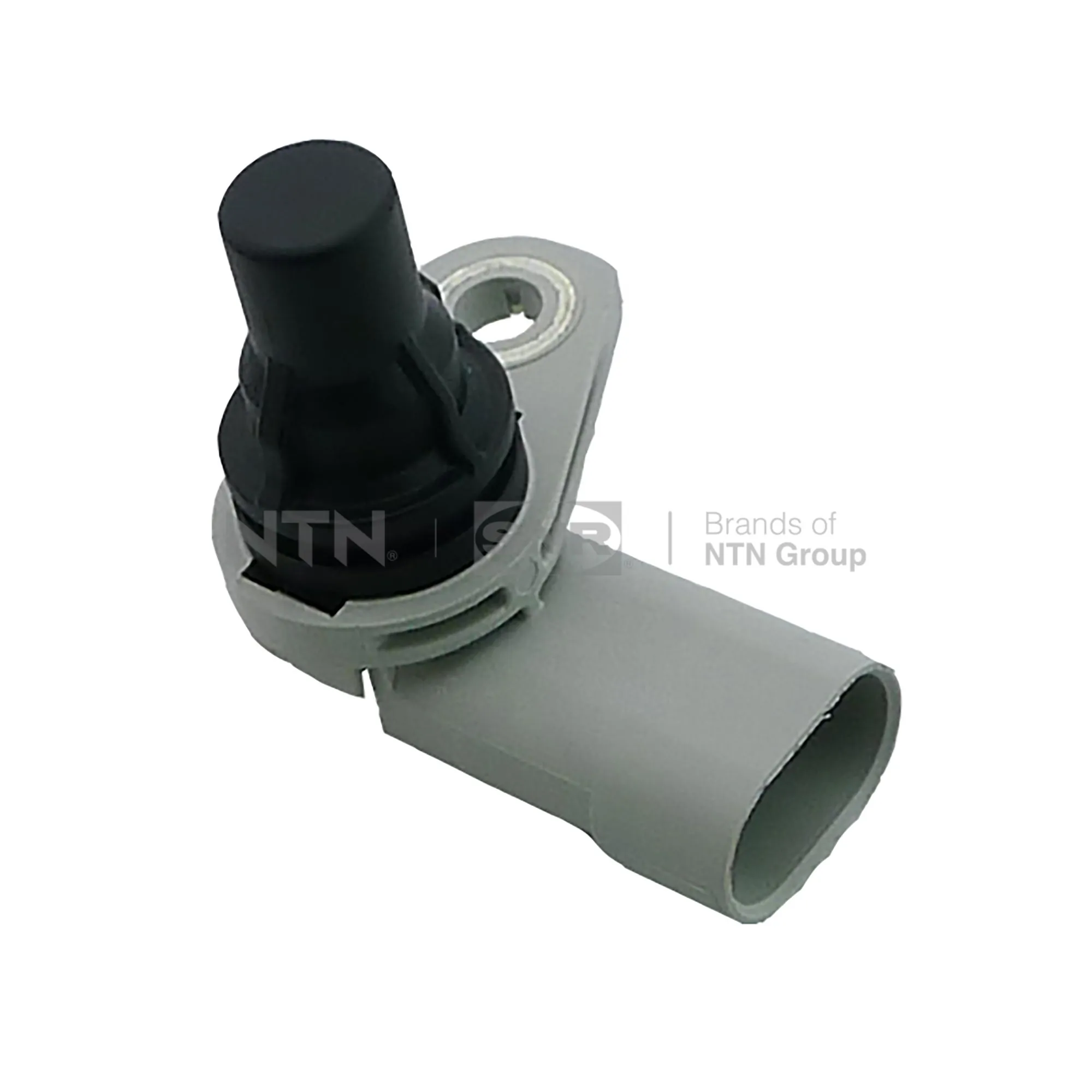 SNR CMP186.01
