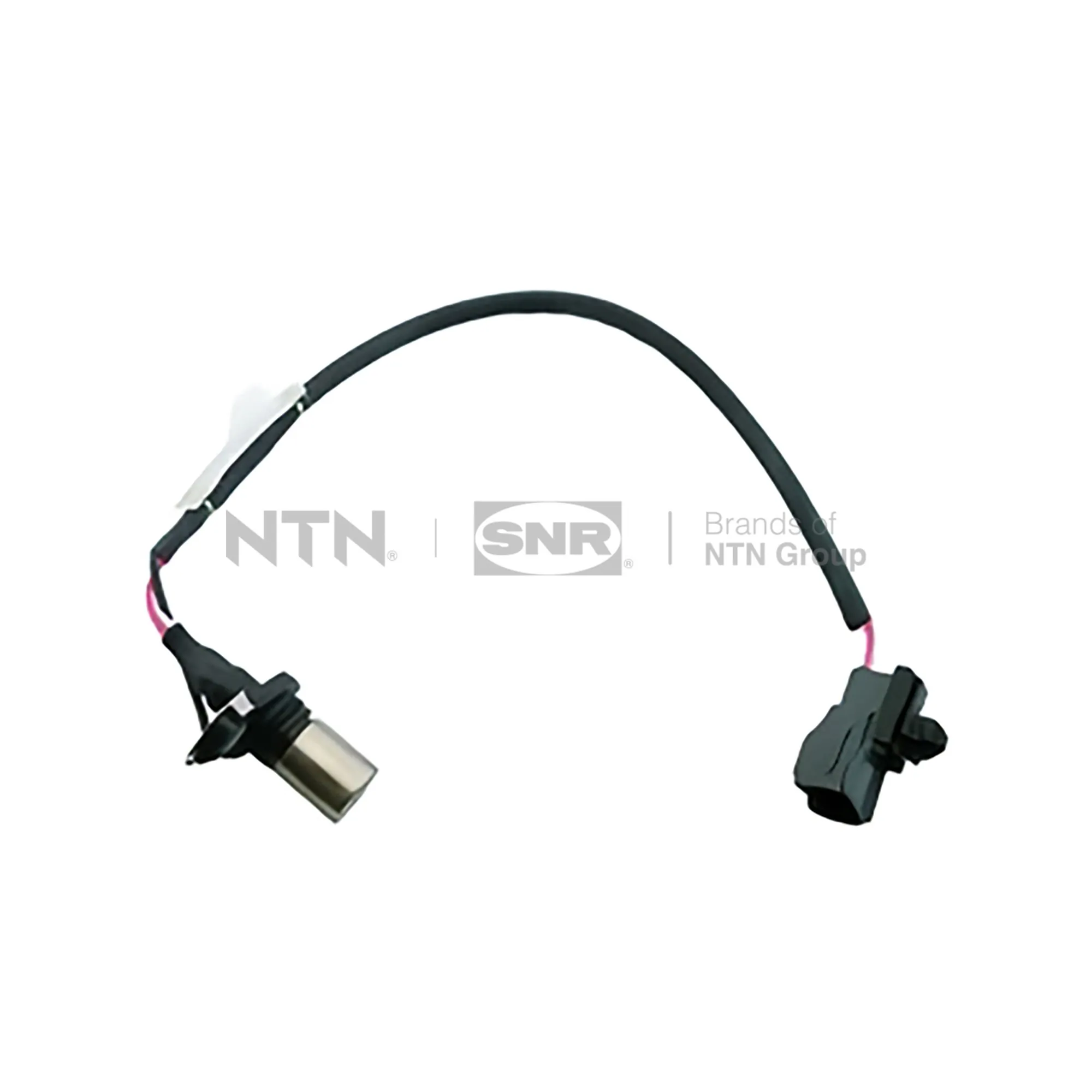 SNR CKP169.04
