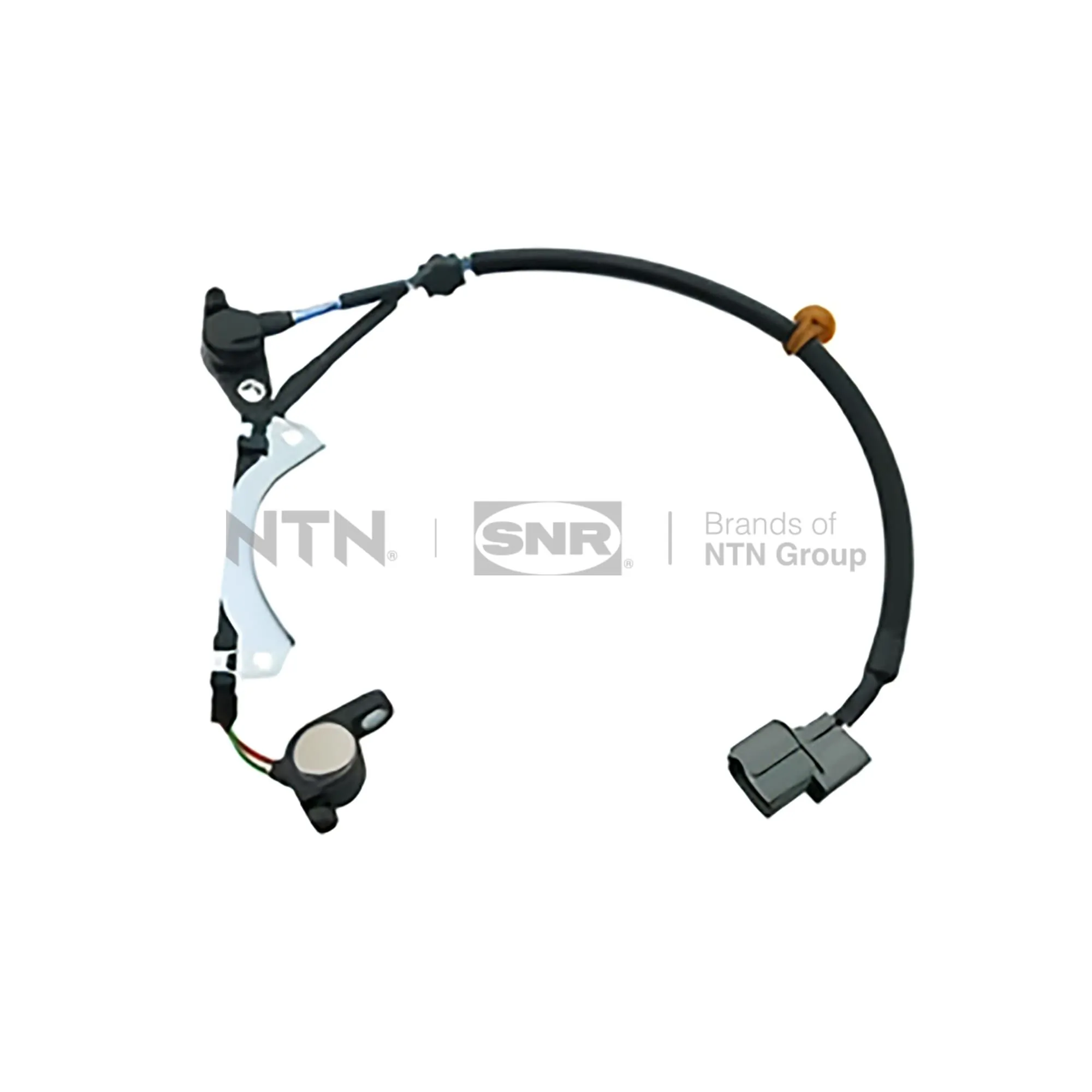 SNR CKP174.08