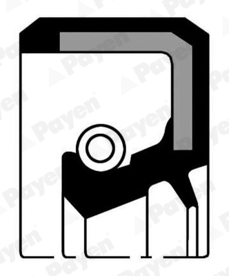 PAYEN NF808
