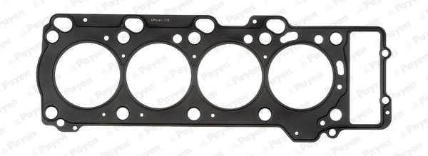 PAYEN AB5560