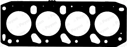 PAYEN AB5811