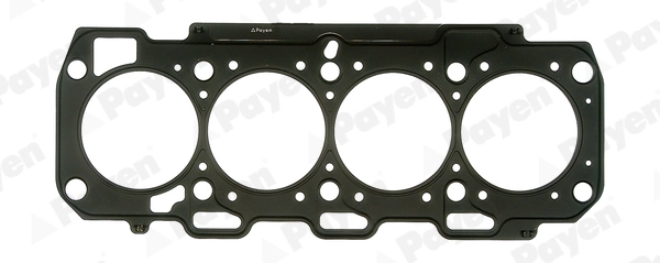 PAYEN AA5561