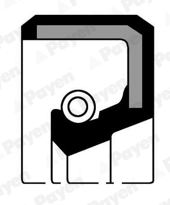 PAYEN NF470