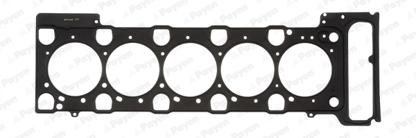 PAYEN AB5910