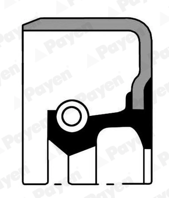 PAYEN NJ416