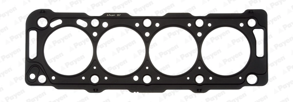 PAYEN AC5020