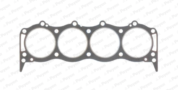 PAYEN AB5490