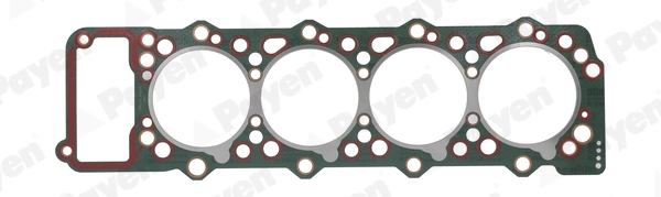 PAYEN AA5020