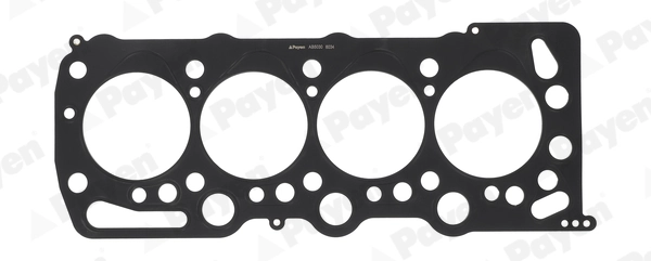 PAYEN AB5030