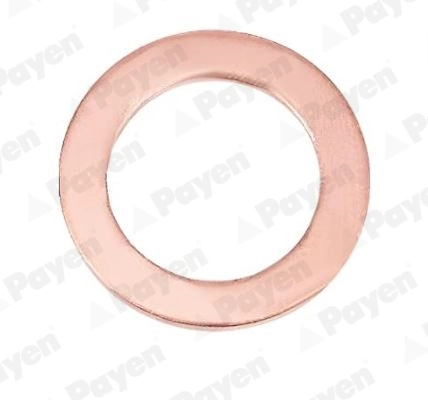 PAYEN KG5095