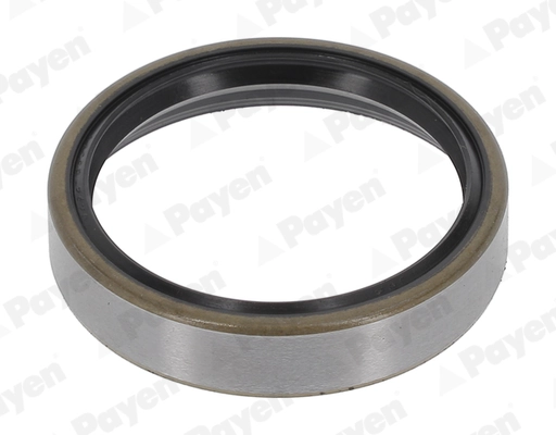 PAYEN NJ386