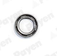 PAYEN NJ858