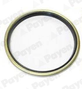 PAYEN NJ755