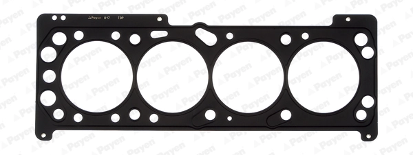 PAYEN AB5540