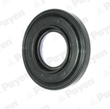 PAYEN NK038