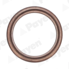 PAYEN KG5009