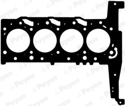 PAYEN AA5980