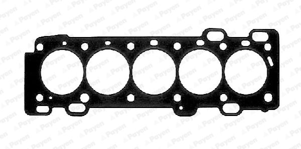 PAYEN AB5451