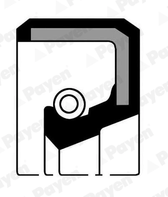 PAYEN NF044