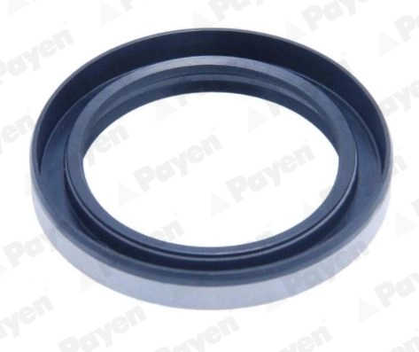 PAYEN NJ892