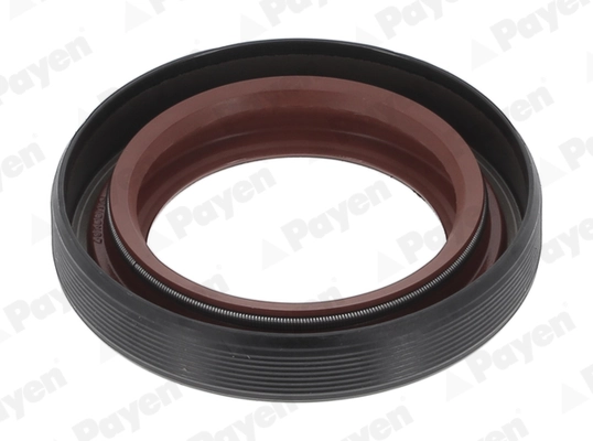 PAYEN NA5205
