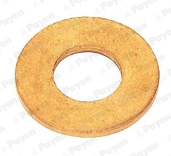 PAYEN KG5078