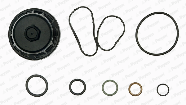 PAYEN EG9760