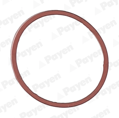 PAYEN JD5107