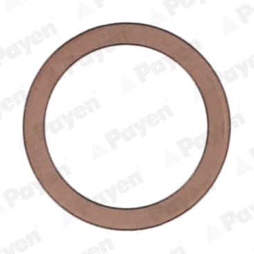 PAYEN KG5217