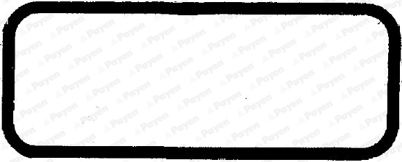 PAYEN JH5001