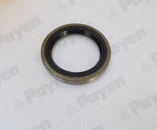 PAYEN NJ474