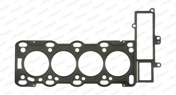 PAYEN AB5670