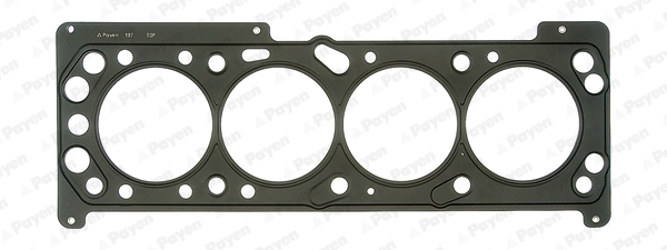 PAYEN AB5360