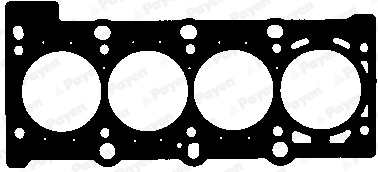 PAYEN AB5661