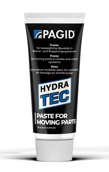 PAGID 95028N