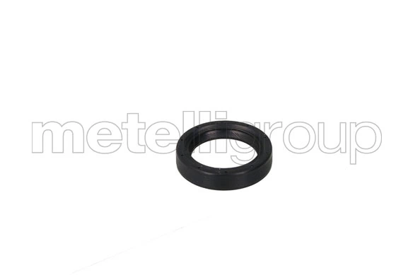 METELLI Oilseal11