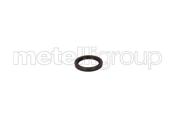 METELLI Oilseal10